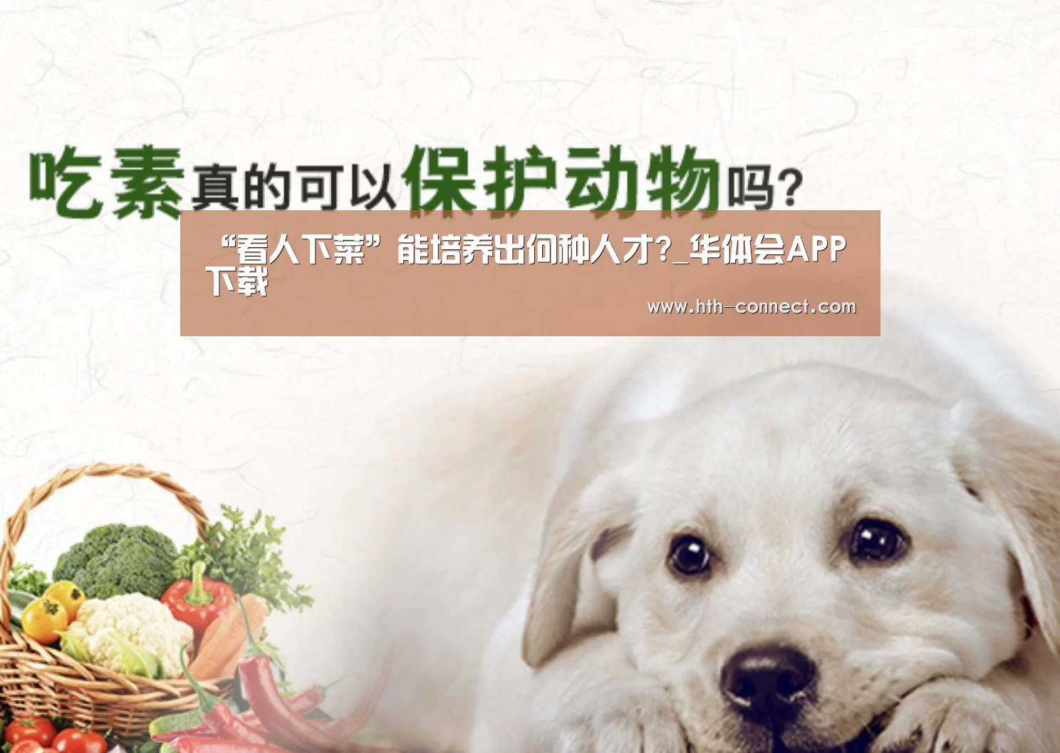 华体会APP下载