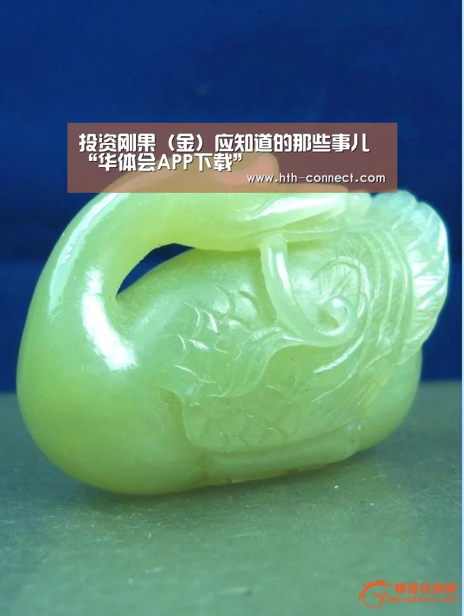 华体会体育APP下载官网