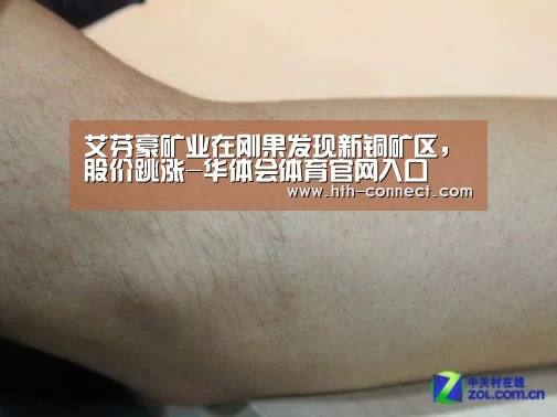 华体会体育APP下载官网