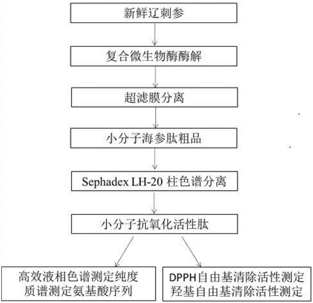 华体会体育官网入口