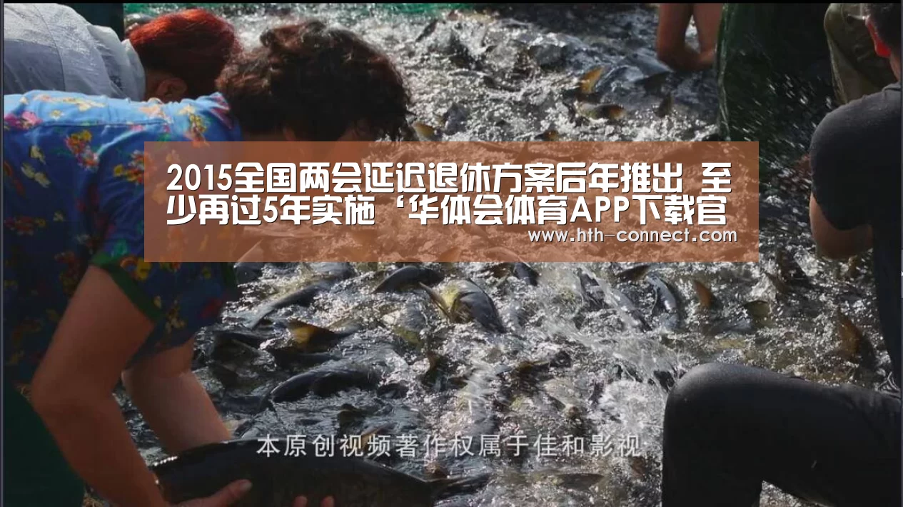 华体会体育APP下载官网