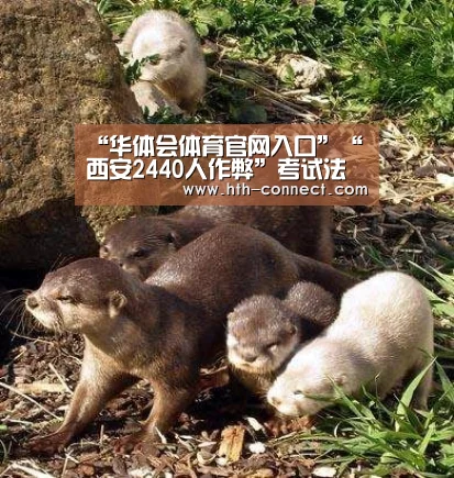 华体会体育官网入口