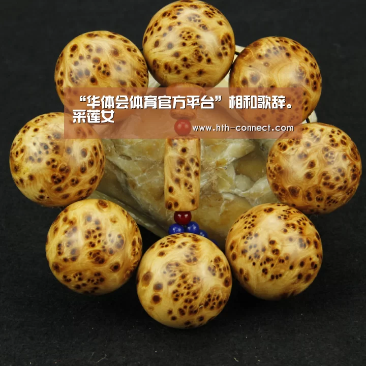 华体会APP下载
