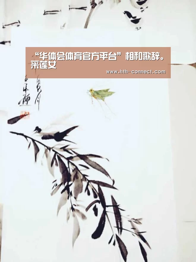 华体会体育APP下载官网