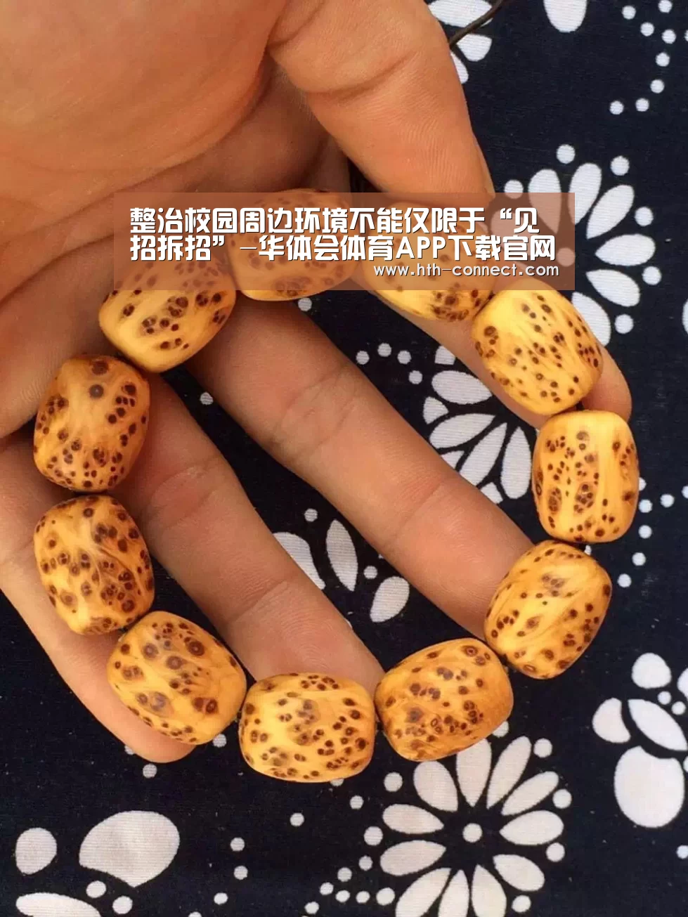 华体会APP下载
