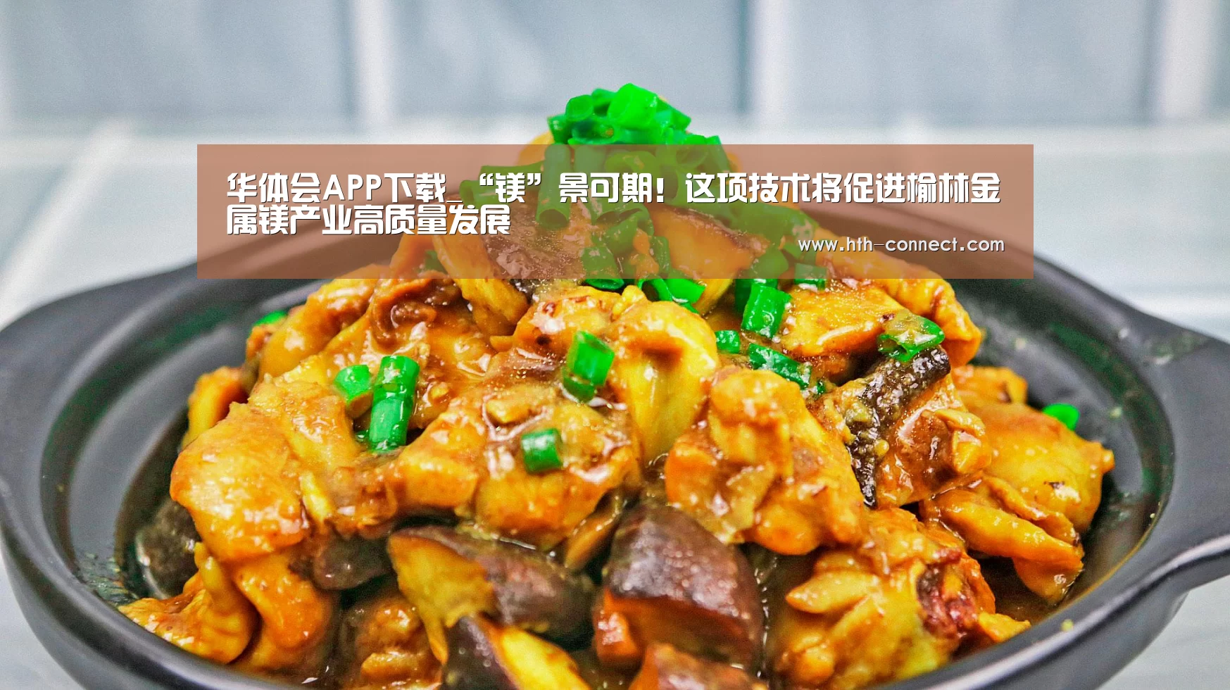 华体会APP下载_“镁”景可期！这项技术将促进榆林金属镁产业